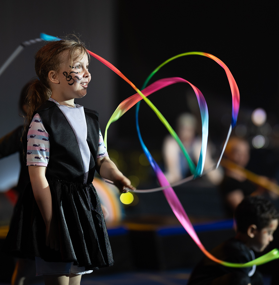 Spectacles du secteur récréatif